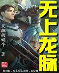 无上龙脉免费阅读