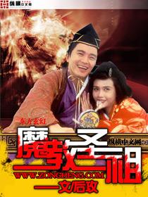魔教教主和魔教圣女