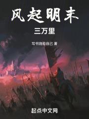 电视连续剧风起明朝