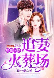 总裁 追妻火葬场的甜文