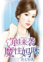 妈咪是宠夫狂魔