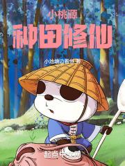 桃源小农民txt