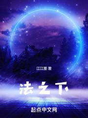 法之下情有度