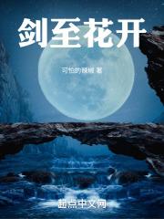 剑来次第花开