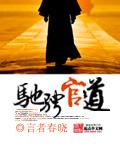 驰骋 什么意思