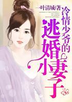 冷少爷的替身妻免费阅读