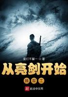 从亮剑开始军火商