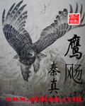 鹰飏的意思