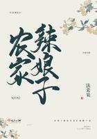 农家辣娘子林元