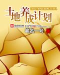 土地项目计划书模板