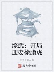 综武开局签到十万大军百度贴吧