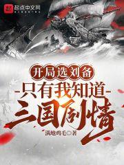 三国之开局刘备做选择题