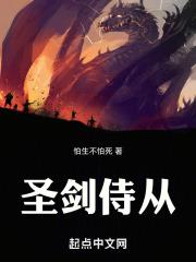 圣剑侍从正位感情