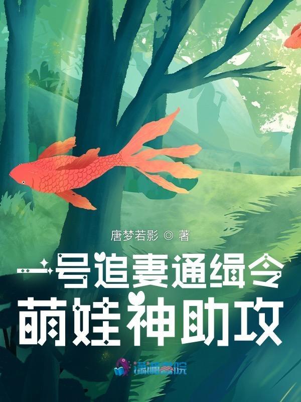 电视剧一号追杀令