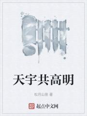 天宇共高明 txt