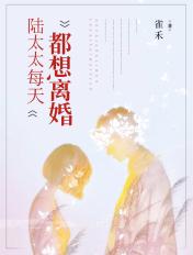 陆太太每天都想要离婚