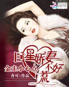 金主豪宠小逃妻全文阅读
