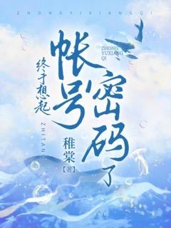 忘记账号密码怎么办