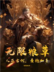 黄袍加身