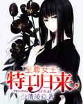 至尊特工全本