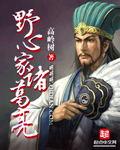 野心家有队友吗