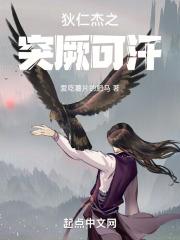 狄仁杰破突厥使团案是第几部