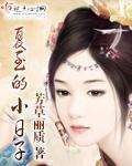 夏至的小日子TXT