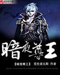 暗夜尊王全文阅读