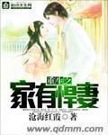重生之家有悍妻作者沧海红霞讲的什么