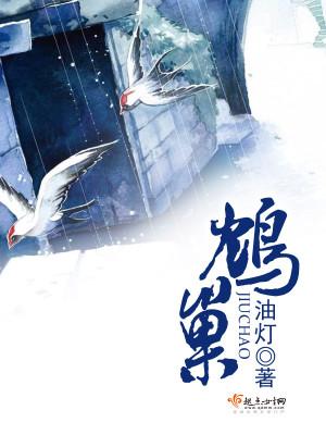 鸩巢txt