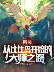 比比鸟几级进化?