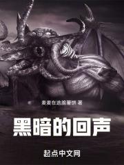 黑暗回声攻略