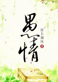 愚情TXT全本