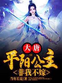 大唐平阳公主txt