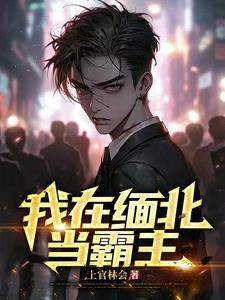 缅北局势吧