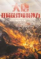 大唐开局获得项羽神力焱火神