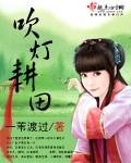 吹灯耕田当家小俏媳