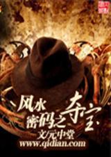 风水密码之夺宝好看吗