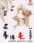 农家傻夫婿