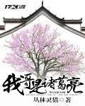 我是你哥哥诸葛扇