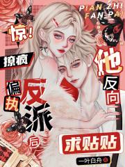 惊!撩疯偏执反派后他反向求贴贴 一叶白舟