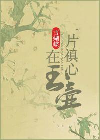 一片冰心在玉壶出自谁