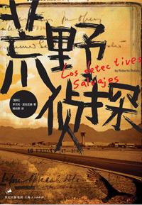 荒野侦探主旨是什么