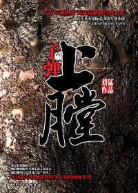 子弹上膛电视剧完整版
