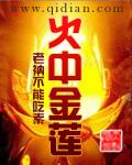 火中金莲免费阅读