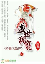 盛世独宠之天