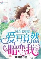重生老婆粉爱豆竟然暗恋我txt