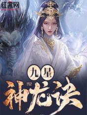 九星神龙诀小说合集