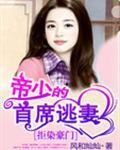 拒染豪门帝少的首席逃妻风和灿灿