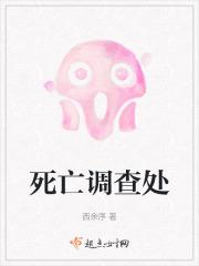 死亡调查记录关键要素